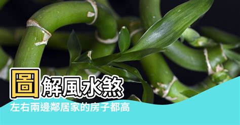 孤陽煞|風水中的孤陽煞怎麼化解 煞氣抵消法